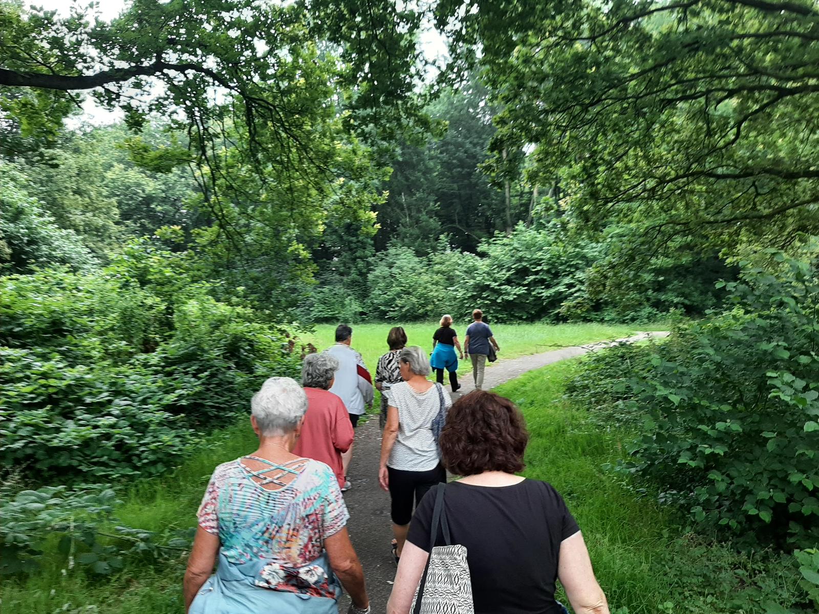 Wandelgroep Eilandenbuurt van Stichting 5000 Stappen tijdens een wandeling in het groen bij Almere